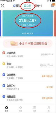 南昌京东白条提现怎么提 南昌京东白条提现怎么提