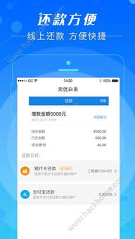 无忧白条套出来 无忧白条套出来，深度解析与实用指南