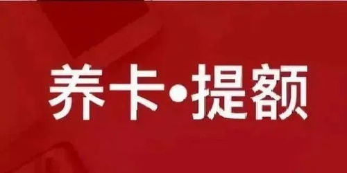 上海POS机申请高额信用卡攻略