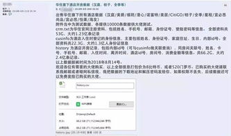 查开房查开房 揭秘网络查开房服务，隐私与安全的双重挑战