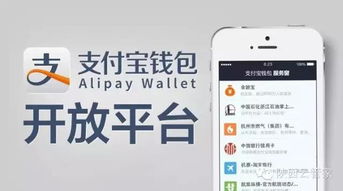 全币种POS机申请条件及案例解析