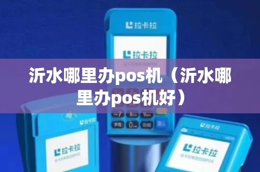 沂水POS机办理全攻略