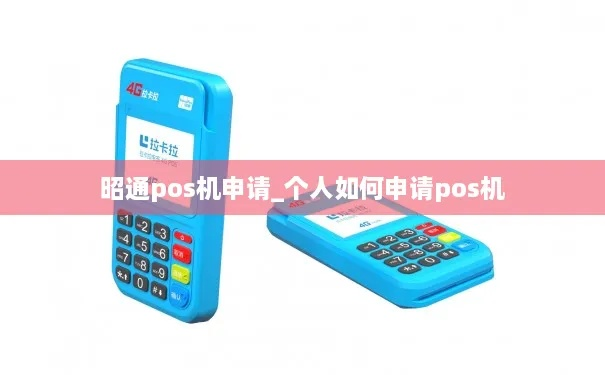 昭通地区个人POS机办理指南