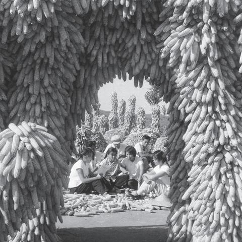 被删除的部分记录能恢复回来吗?被删除的部分记录能否恢复？
