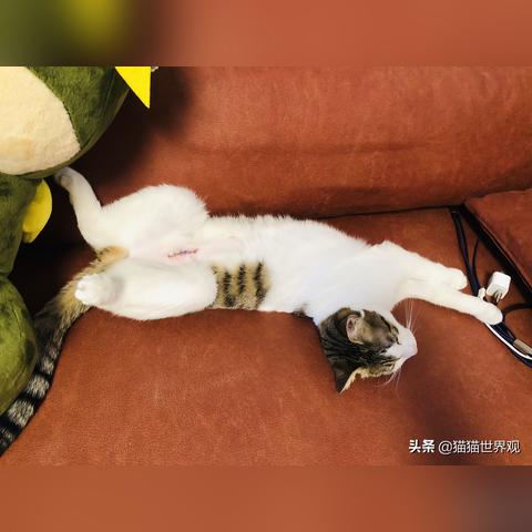 如何查詢別人的微信聊天记录 微信聊天记录查询全攻略，合法途径与风险警示