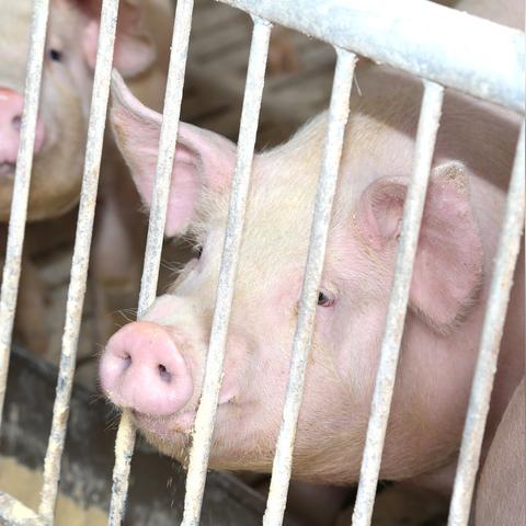 白条怎样找商家提现？一文全解析