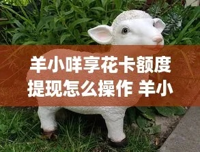 揭秘羊小咩享花卡提现全攻略手把手教你轻松提现不踩坑