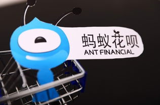 如何正确使用花呗，避免不当行为