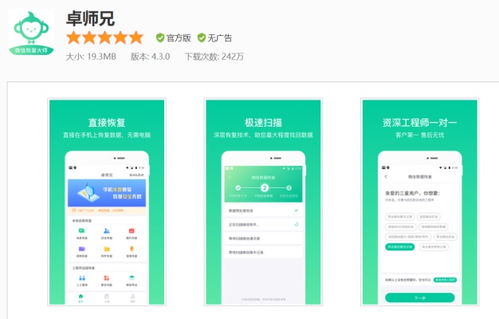 微信聊天记录被查到的真相，技术、法律与隐私保护指南
