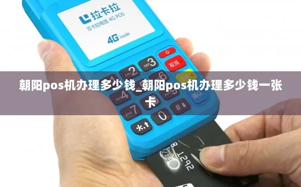 朝阳个人POS机办理指南