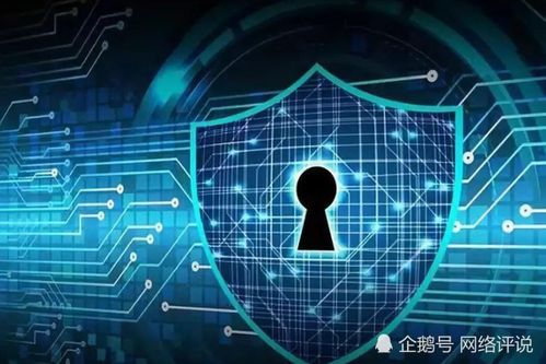 微信无前期费用黑客追款联系方式，真相、风险与应对之道