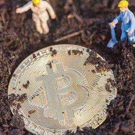 正规免费接单黑客QQ，揭秘网络赚钱的神秘平台