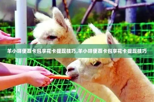 秒提现神器！2018羊小咩便荔卡操作全攻略，手把手教你闪电提现不踩坑