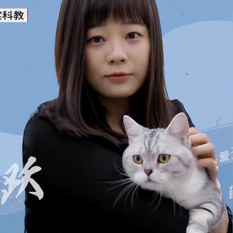 手把手教你查开房间记录查询，全流程解析+避坑指南