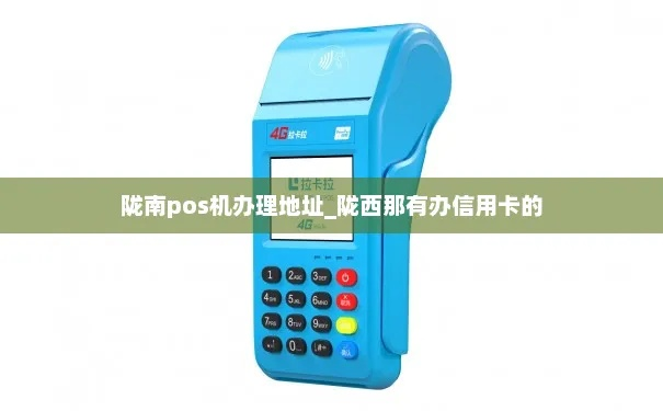 陇南个人POS机办理指南