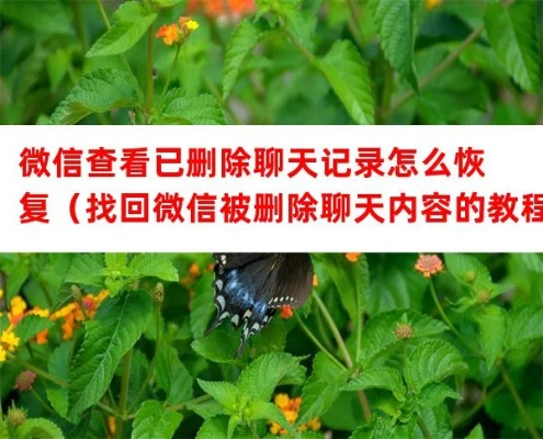 找回已经刪除的聊天记录