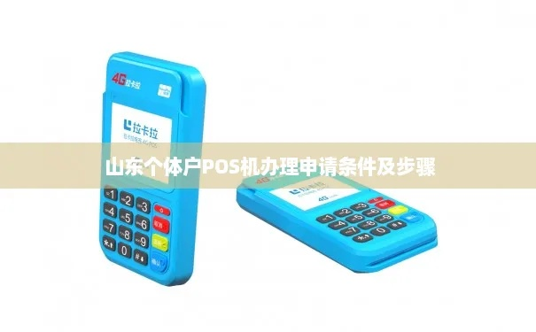 广平县个人申请POS机的流程与案例解析