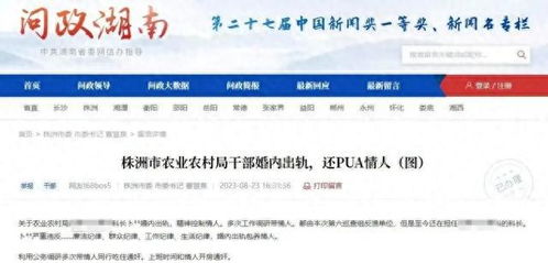 公安网怎么查开房记录，深入了解查询流程与注意事项