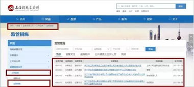 公安网怎么查开房记录，深入了解查询流程与注意事项