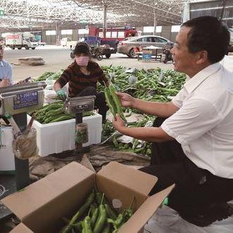 农业POS机办理指南，实用信息与案例分析