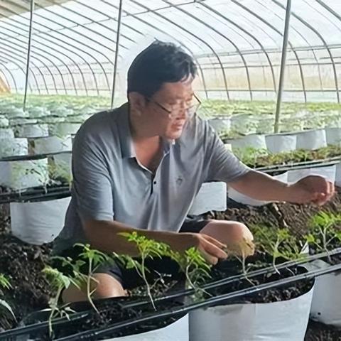 抖音月付套，收费详解与案例分享