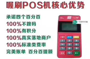 个人养卡POS机申请办理指南