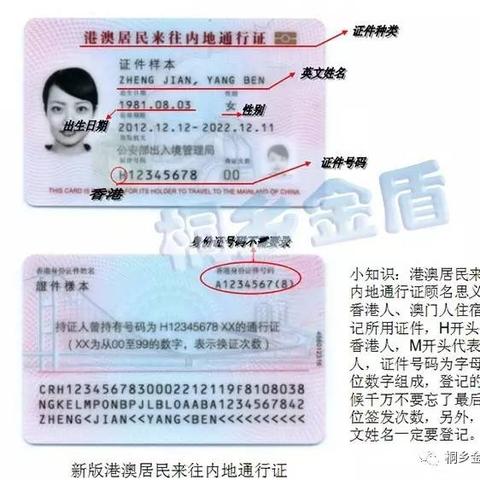 如何查询酒店个人入住记录？全面解析查询过程与注意事项