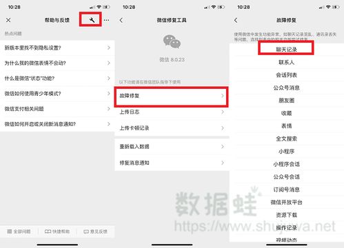 聊天记录删除后还能找回来吗？一份实用指南