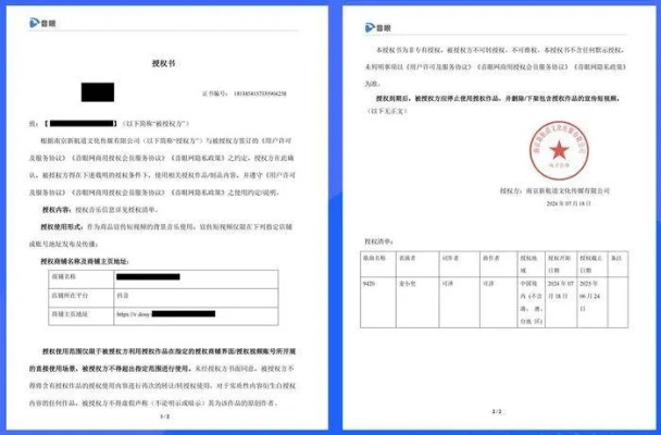 开房记录查询的真相，网址、法律风险与合法替代方案