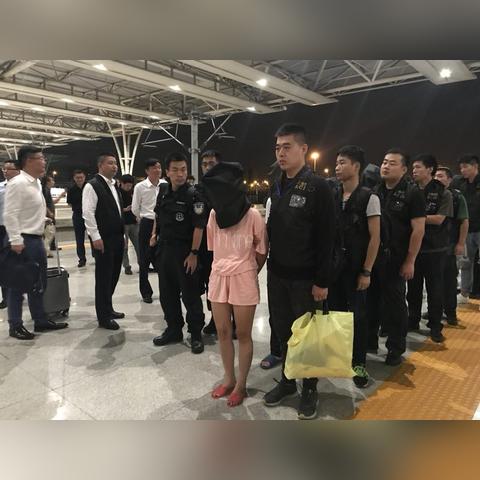 POS机在网上申请靠谱吗？案例分析与案例解读