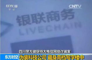 厦门银联POS机申请时间表及案例解析