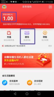 京东白条提现到银行卡全攻略，手把手教你轻松操作