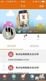 如何通过微信号码查这个人的联系方式