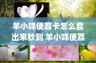 羊小咩荔卡套购买全攻略，手把手教你避开坑，轻松get正品渠道！