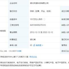 武汉办理POS机指南，全面解析与案例分享