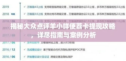 羊小咩便荔卡店铺兑现攻略，操作指南与案例分析