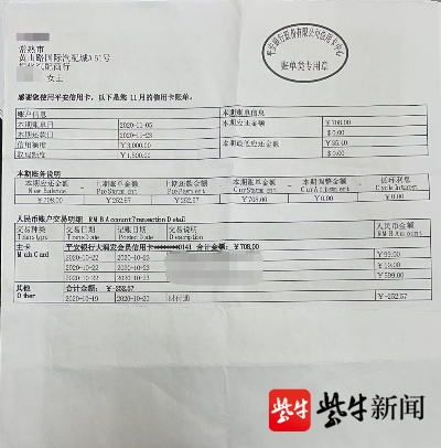 个人申请POS机刷白条申请报告