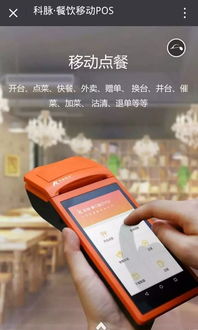 盛迪嘉大POS机申请条件及案例解析