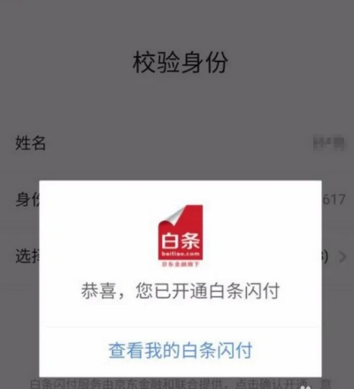 白条付款码套出来，深度解析与案例分享