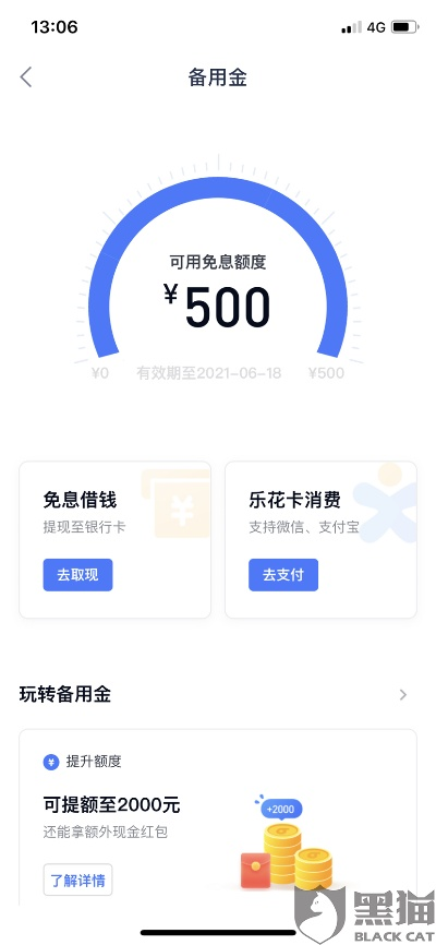 丰县分期乐取现额度查询指南
