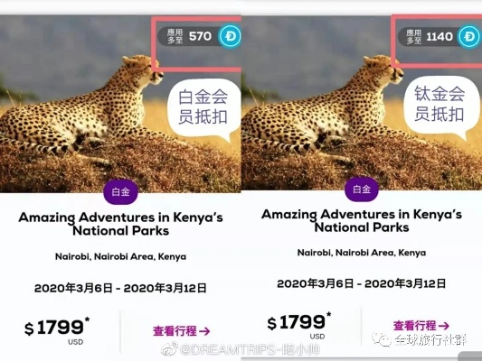 肯尼亚申请POS机费用解析
