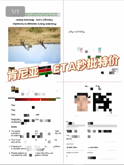 肯尼亚申请POS机费用解析