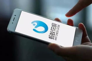 花呗兑现h5页面全面解析
