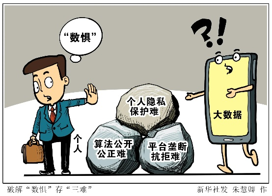 关于网络隐私保护的合法建议