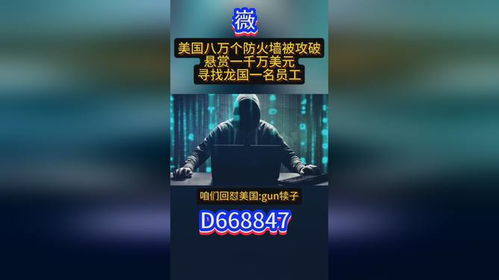 隐藏品，黑客追款的真相