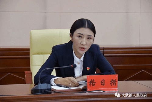 公安内网查开房记录全解析，合法查询流程、注意事项与常见误区