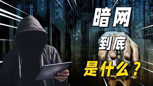暗网，信誉与信任的较量