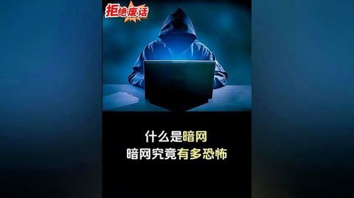 暗网，信誉与信任的较量