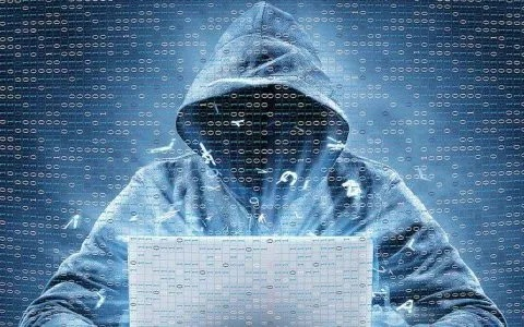 24小时黑客在线联系方式，揭秘网络安全的守护者
