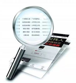 网上查开房记录网站，真相、风险与合法途径全解析